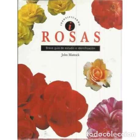 Libros: Rosas. Breve gu&iacute;a de estudio e identificaci&oacute;n - Mattock, John - Foto 1