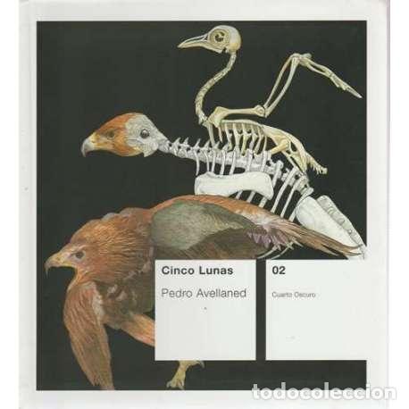 Libros: Cinco lunas - Avellaned, Pedro - Foto 1