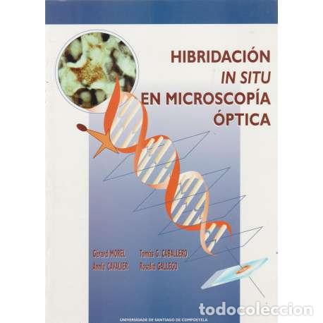 Libros: Hibridaci&oacute;n in situ en microscop&iacute;a &oacute;ptica - VV.AA - Foto 1