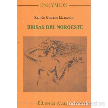 Libros: Brisas del Noroeste - Ram&oacute;n Gimeno Lizasoain - Foto 1