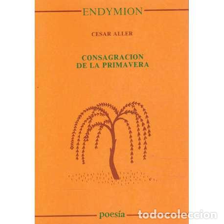 Libros: Consagraci&oacute;n de la primavera - C&eacute;sar Aller - Foto 1
