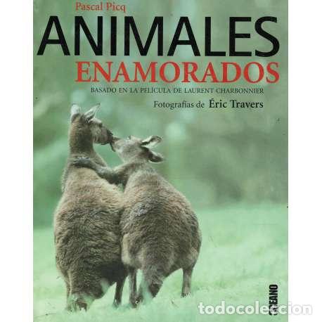 Libros: Animales enamorados - Pascal Picq - Foto 1