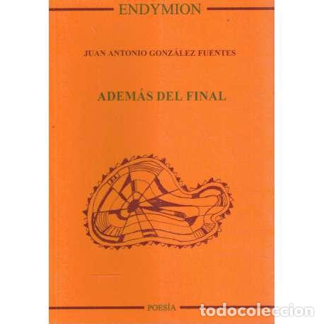 Libros: Adem&aacute;s del final - Gonz&aacute;lez Fuentes, Juan Antonio - Foto 1