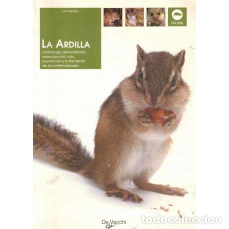 Libros: La ardilla - Livia Benato - Foto 1