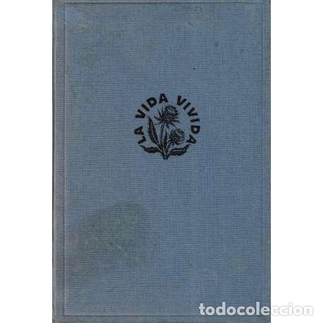 Libros: Detective del aire - Fish, Donald - Foto 1