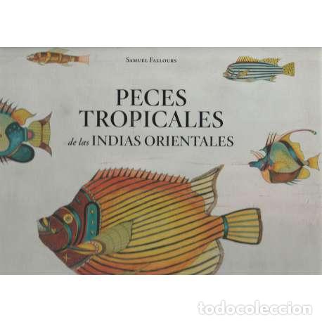 Libros: Peces tropicales de las Indias Orientales - Samuel Fallours - Foto 1