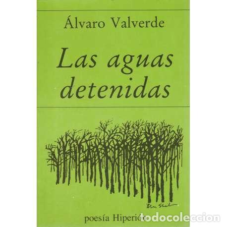 Libros: Las aguas detenidas - &Aacute;lvaro Valverde - Foto 1