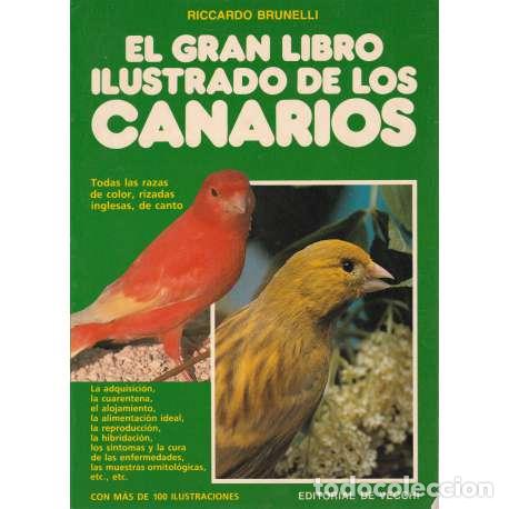 Libros: El gran libro ilustrado de los canarios - Riccardo Brunelli - Foto 1