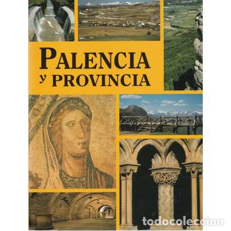 Libros: Palencia y provincia - Carlos M. Mart&iacute;n - Foto 1