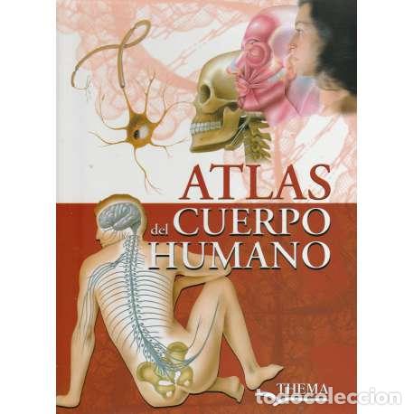 Libros: Atlas del cuerpo humano - VV.AA - Foto 1