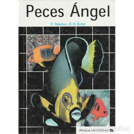 Libros: Peces &Aacute;ngel - H. Debelius / R. H. Kuiter - Foto 1