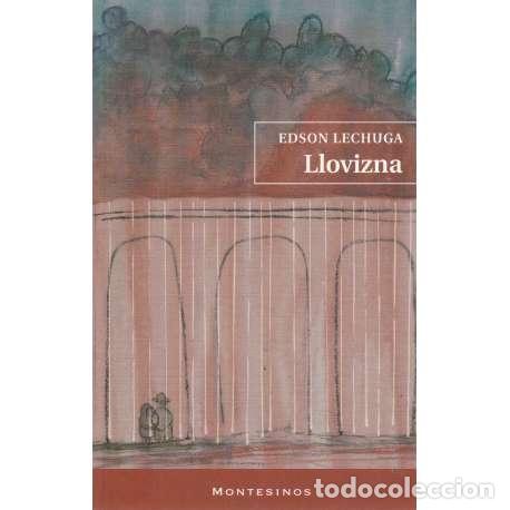 Libros: Llovizna - Lechuga, Edson - Foto 1