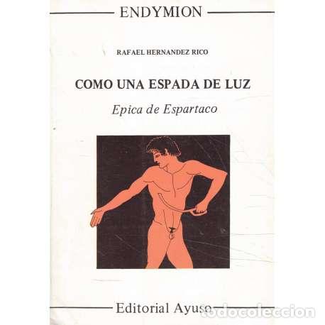 Libros: Como una espada de luz - Rafael Hern&aacute;ndez Rico - Foto 1