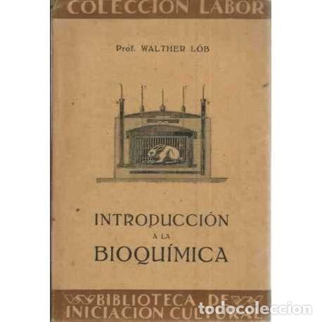 Libros: INTRODUCCI&Oacute;N A LA BIOQU&Iacute;MICA - L&ouml;b, Walther - Foto 1