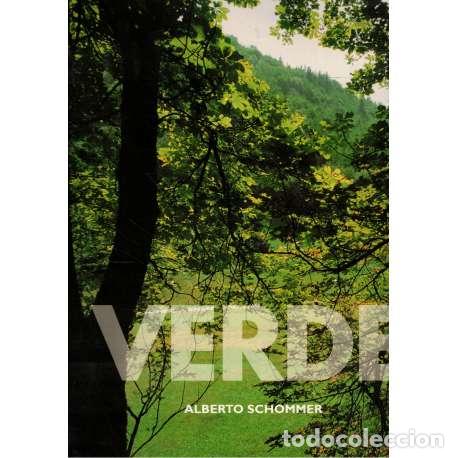 Libros: Verde Gip&uacute;zkoa - Schommer, Alberto - Foto 1