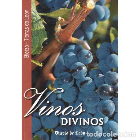 Libros: Vinos divinos. Bierzo-Tierra de Le&oacute;n - VV. AA. - Foto 1