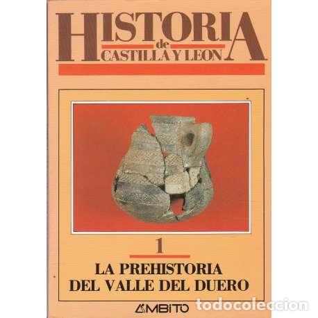 Libros: La Prehistoria del Valle del Duero - VV. AA. - Foto 1