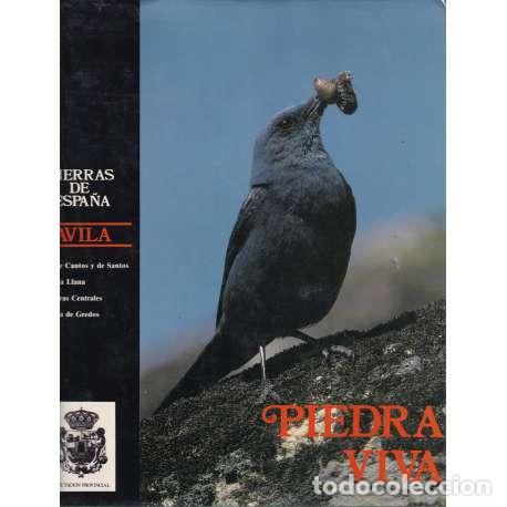 Libros: Piedra viva - VV. AA. - Foto 1
