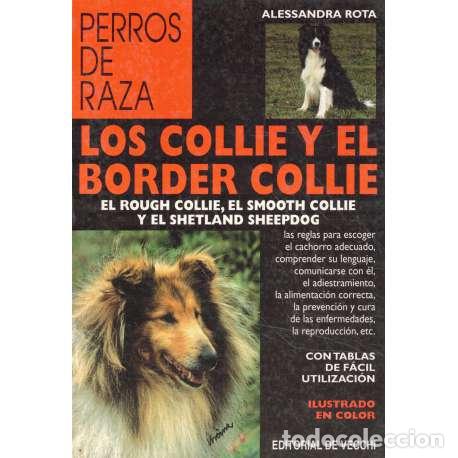 Libros: Perros de raza. Los collie y el border collie - Rota, Alessandra - Foto 1