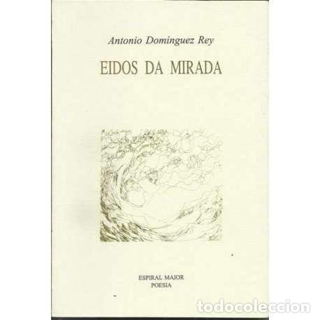 Libros: Eidos da mirada - Antonio Dom&iacute;nguez Rey - Foto 1