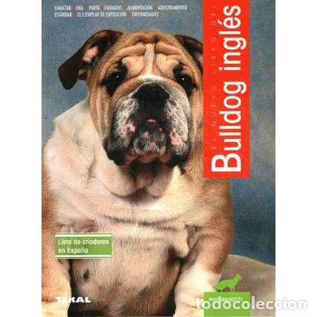 Libros: El nuevo libro del Bulldog ingl&eacute;s - Phil Maggitti - Foto 1
