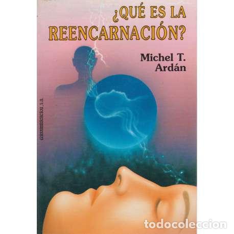 Libros: &iquest;Qu&eacute; es la reencarnaci&oacute;n? - Michel T. Ardan - Foto 1