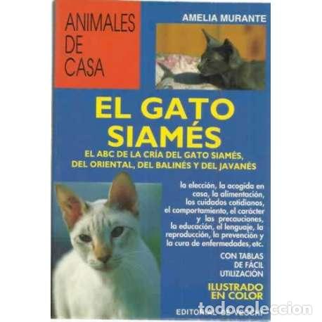 Libros: El gato siam&eacute;s - Murante, Amelia - Foto 1