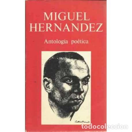 Libros: ANTOLOG&Iacute;A PO&Eacute;TICA - Hern&aacute;ndez, Miguel - Foto 1