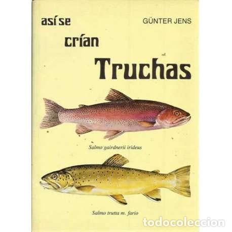 Libros: As&iacute; se cr&iacute;an truchas - Jens, Gunter - Foto 1