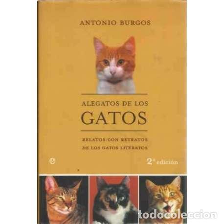 Libros: Alegatos de los gatos - Burgos, Antonio - Foto 1