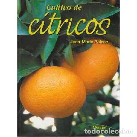 Libri di seconda mano: Cultivo de c&iacute;tricos - Polese, Jean Marie