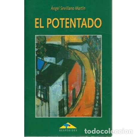 Libros: El potentado - Sevillano Mart&iacute;n, &Aacute;ngel - Foto 1