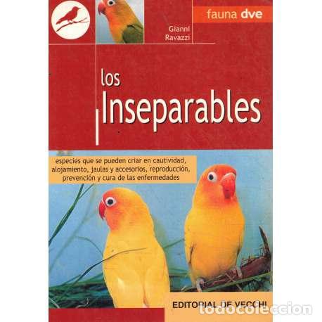 Libros: Los inseparables - Ravazzi, Gianni - Foto 1