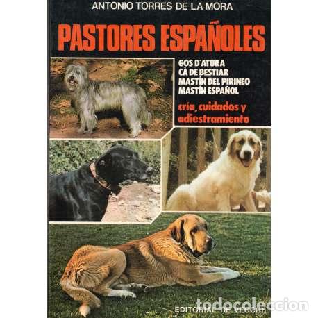 Libros: Pastores espa&ntilde;oles - Torres de la Mora, Antonio - Foto 1