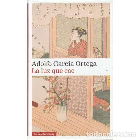 Libros: La luz que cae - Garc&iacute;a Ortega, Adolfo - Foto 1
