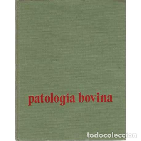 Libros: Patolog&iacute;a bovina - Manuel Barber&aacute;n - Foto 1