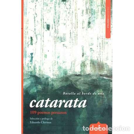 Libros: Batalla al borde de una catarata - VV. AA. - Foto 1