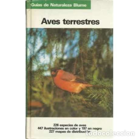 Libros: Aves terrestres - Sauer, Frieder - Foto 1