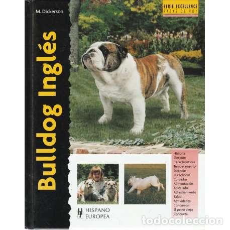 Libros: Bulldog ingl&eacute;s - Michael Dickerson - Foto 1