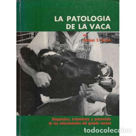 Libros: La patolog&iacute;a de la vaca - S. Barron, Norman - Foto 1