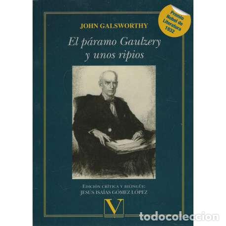 Libros: El p&aacute;ramo Gaulzery y unos ripios - John Galswoethy - Foto 1
