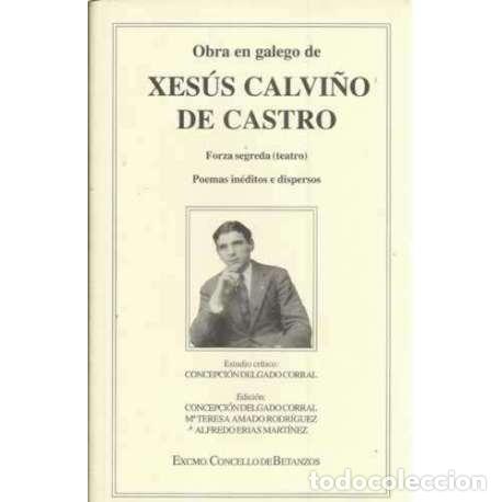 Libros: Obra en galego de Xes&uacute;s Calvi&ntilde;o de Castro - VV. AA. - Foto 1