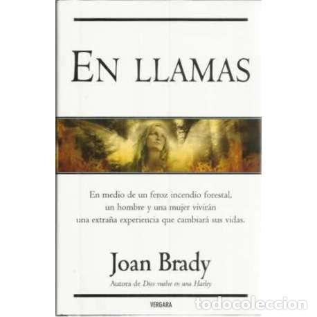 Libros: En llamas - Joan Brady - Foto 1