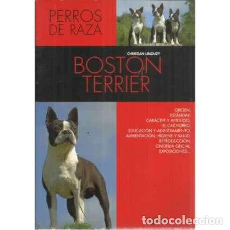 Libros: Boston terrier - Limouzy, Christian - Foto 1
