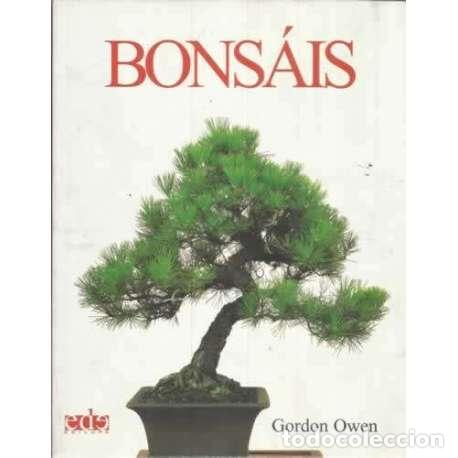 Libros: Bons&aacute;is - Owen, Gordon - Foto 1