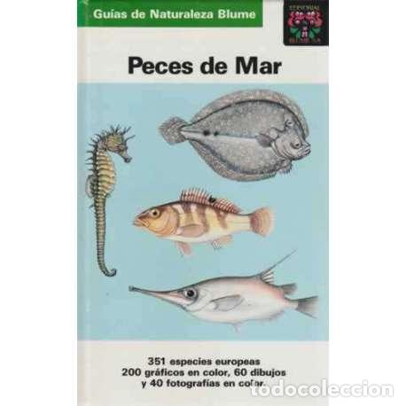 Libros: Peces de mar - Terofal, Fritz - Foto 1