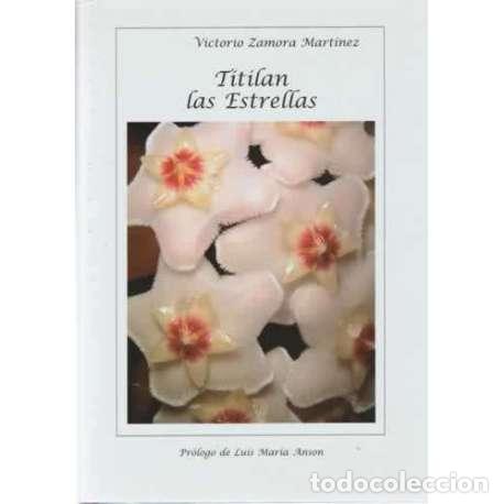 Libros: Titilan las estrellas - Victorio Zamora Mart&iacute;nez - Foto 1