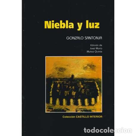 Libros: Niebla y luz - Santonja, Gonzalo - Foto 1