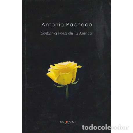 Libros: Solitaria rosa de tu aliento - Pacheco, Antonio - Foto 1
