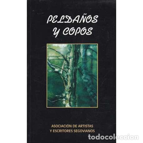 Libros: Pelda&ntilde;os y copos - VV. AA. - Foto 1